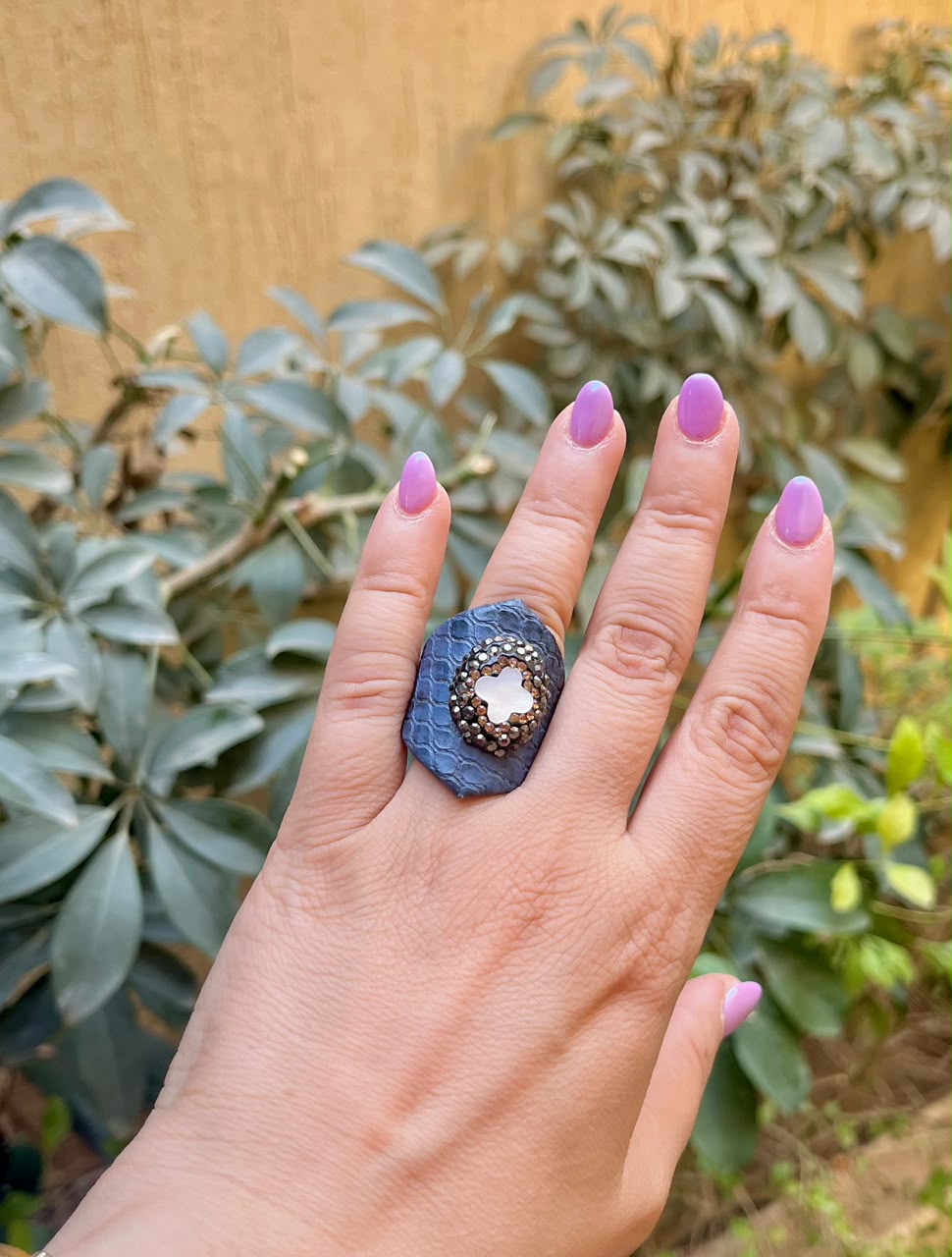 The Mystic Band Collection