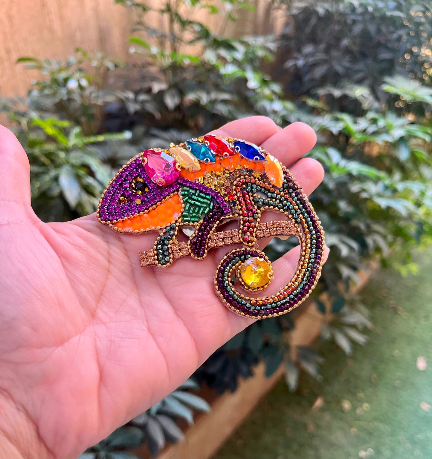 The Rainbow Chameleon